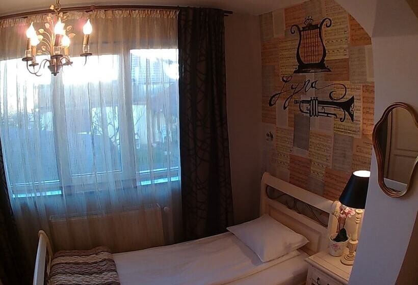 スタンダードシングルルーム, Pensiunea Fortuna