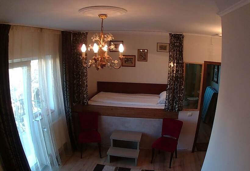 スタンダードシングルルーム, Pensiunea Fortuna