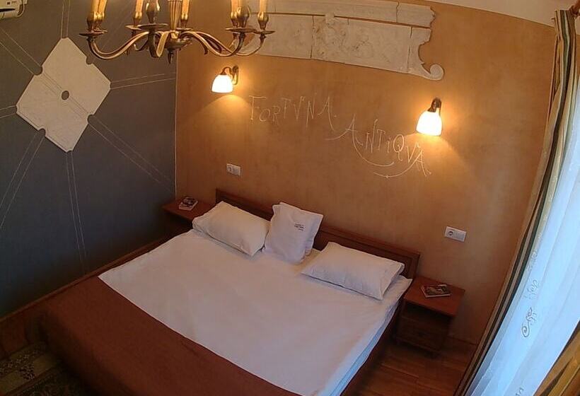 スーペリアールーム, Pensiunea Fortuna