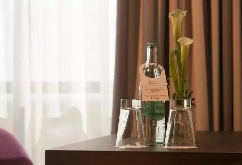 اتاق استاندارد, Vital Hotel Rhein Main Therme Wellness Resort & Spa