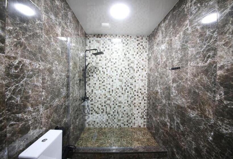 اتاق لوکس خانوادگی, Panoramic