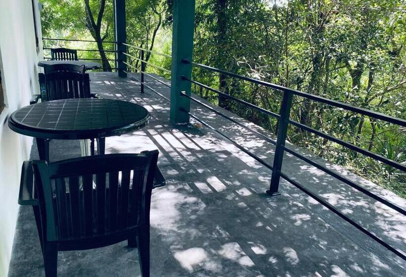 غرفة قياسية مزوَّدة بشُرفة, Green House