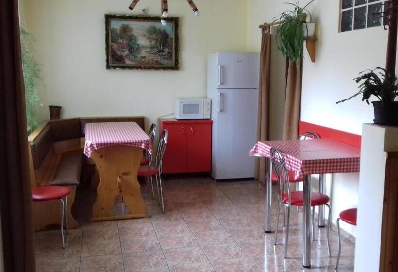 Standard-huone, Pensiunea Amalia Panzió