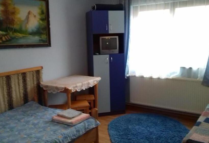 Standard-huone, Pensiunea Amalia Panzió