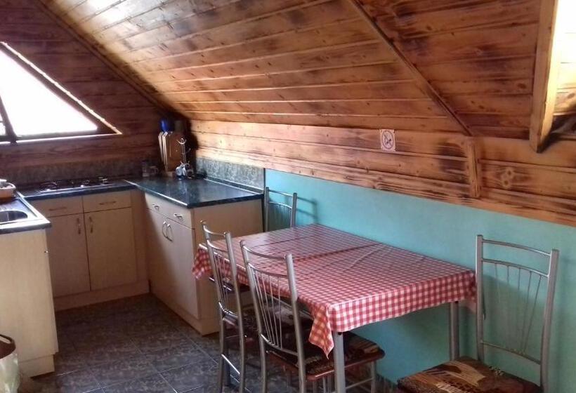 Standard-huone Parveke, Pensiunea Amalia Panzió