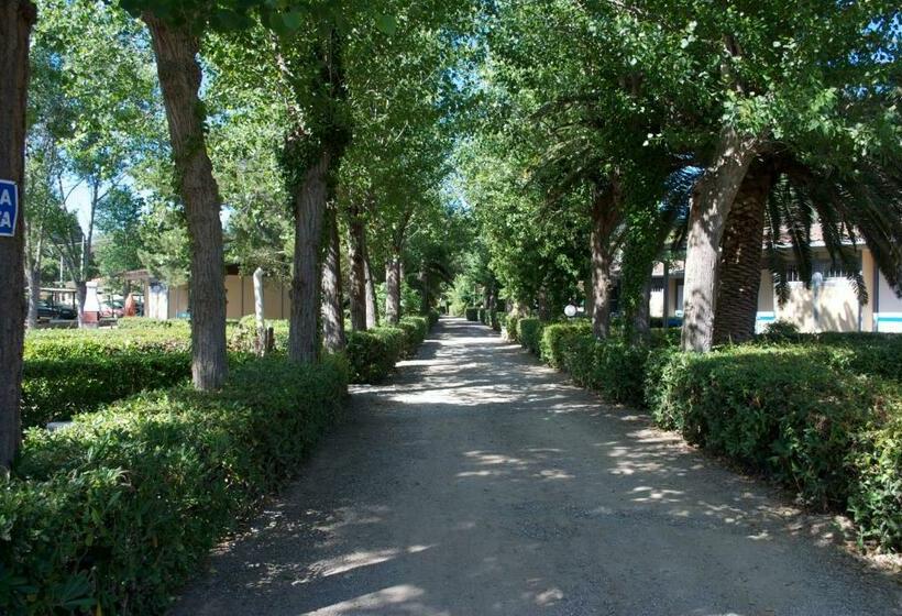 Студия Стандарт, Residence Hotel Baia Del Sole