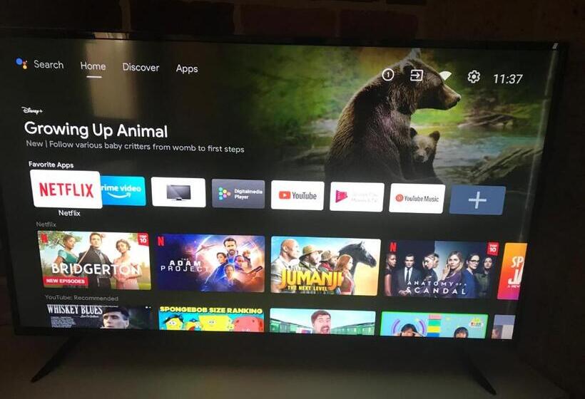 اتاق استاندارد برای معلولان, Cedar Lodge Motel