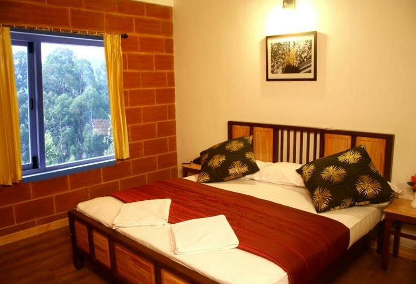 חדר דלוקס, Altius Nest