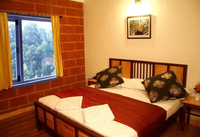 חדר דלוקס, Altius Nest