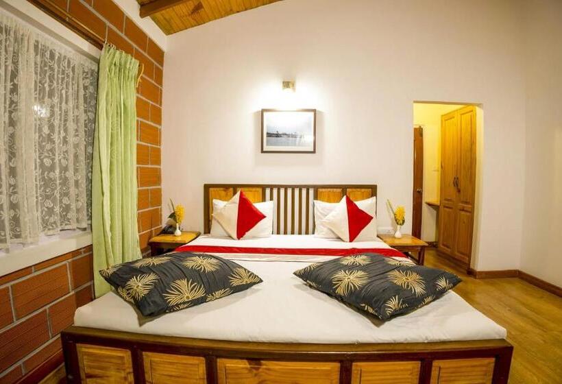 חדר דלוקס, Altius Nest