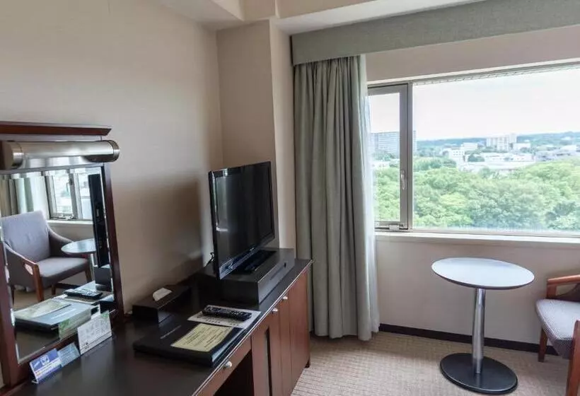 ダブルベッドのベーシックルーム, Jal City Tsukuba