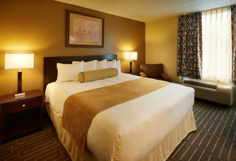 스탠다드 룸 킹사이즈 침대, Mountaineer Casino Resort