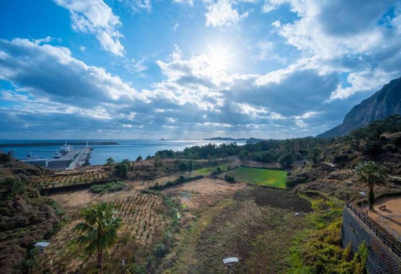 جناح إدارى, Y Resort Jeju