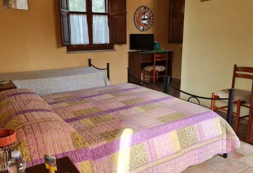 Номер Стандарт, B&b Nuraximannu