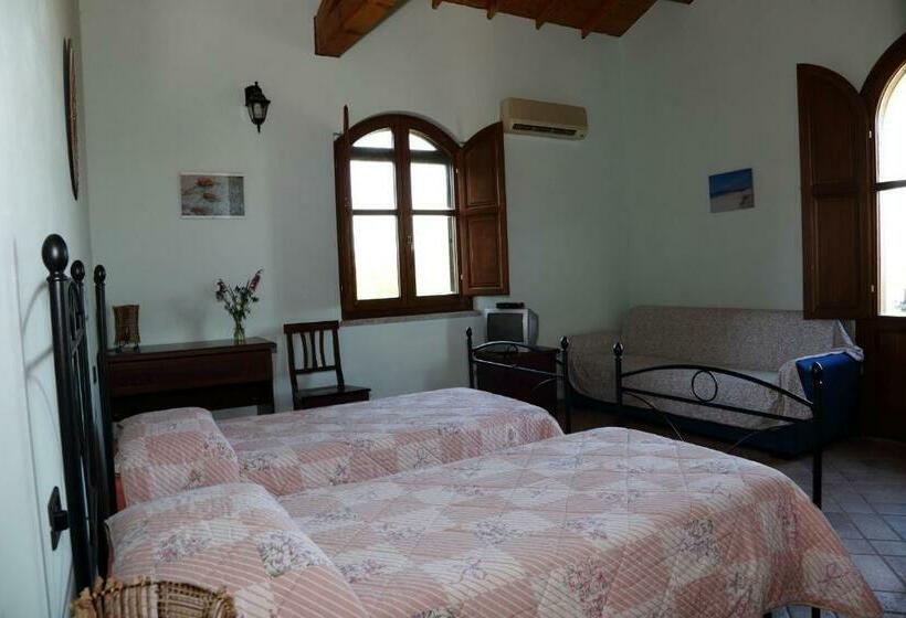 Номер Стандарт, B&b Nuraximannu