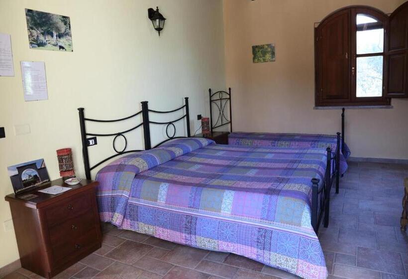 Номер Стандарт, B&b Nuraximannu