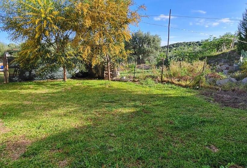 Апартаменты 1 Спальня, B&b Nuraximannu