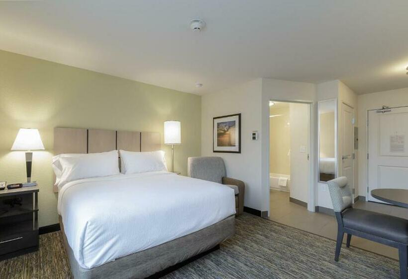 إستوديو قياسى, Candlewood Suites Mishawaka, An Ihg