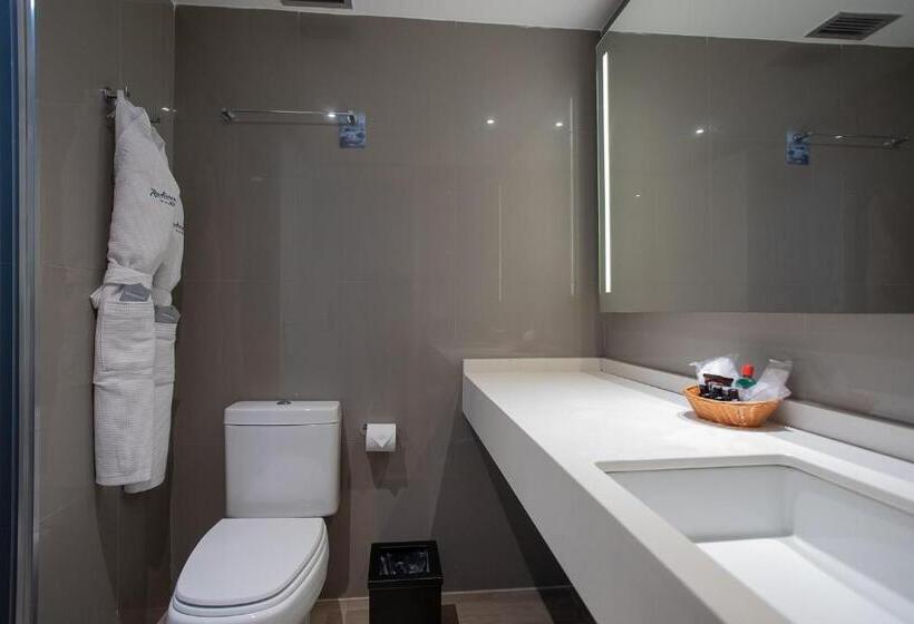 اتاق کلاس بیزنس, Radisson Rio De Janeiro Barra