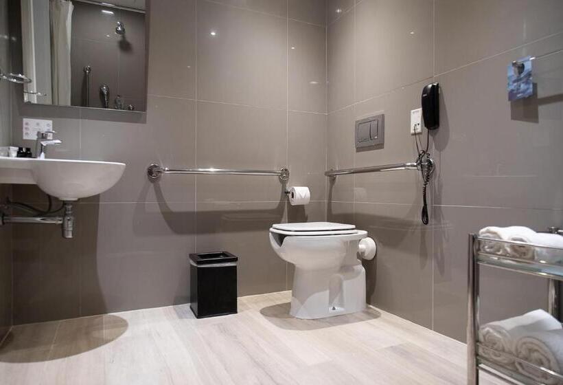 اتاق استاندارد یک تخته برای معلولان, Radisson Rio De Janeiro Barra