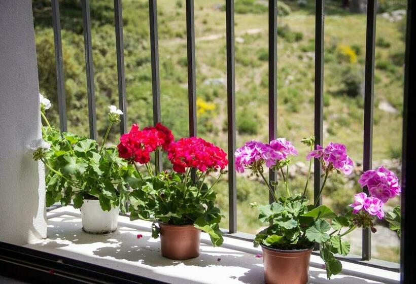 수피리어 룸, Tambor Del Llano