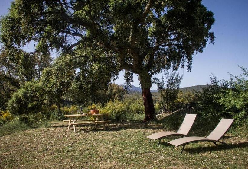 수피리어 룸, Tambor Del Llano