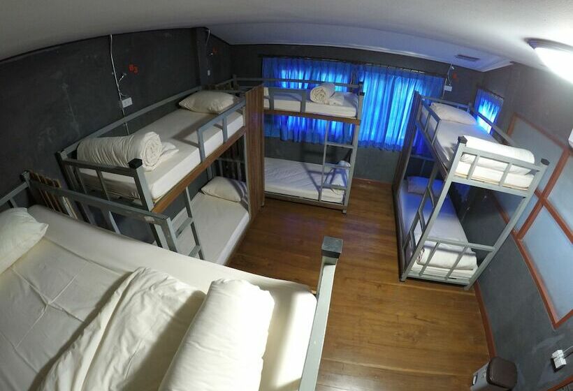 Кровать в Общей Комнате, Wualai Hostel