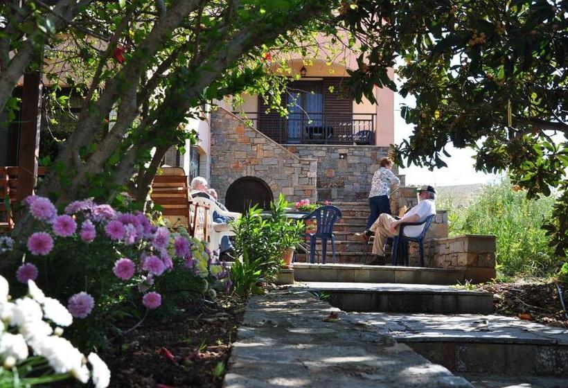 חדר סטנדרט לארבעה, House Margot