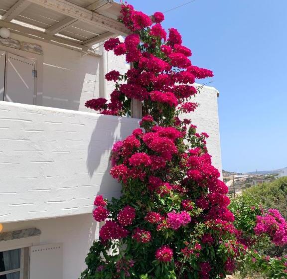 غرفة قياسية بالطابق الأرضى, Speires Suites