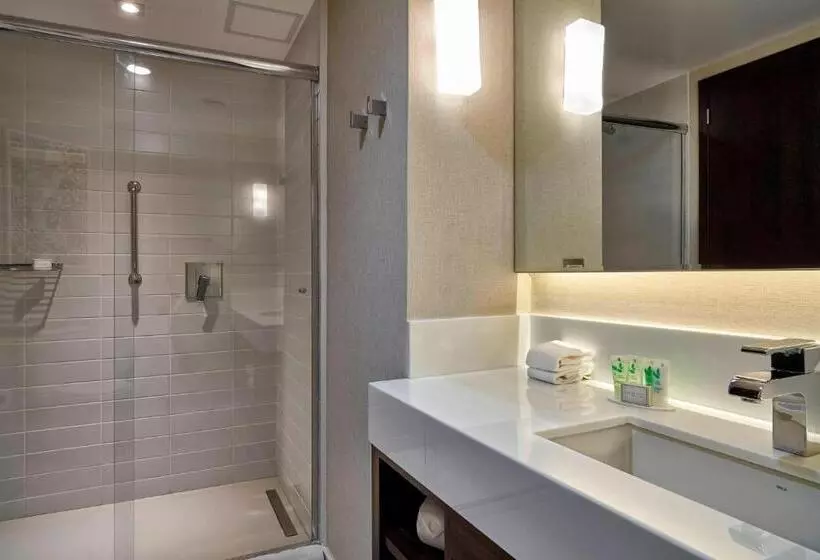 Standard-studio King-vuode, Residence Inn By Marriott Rio De Janeiro Barra Da Tijuca