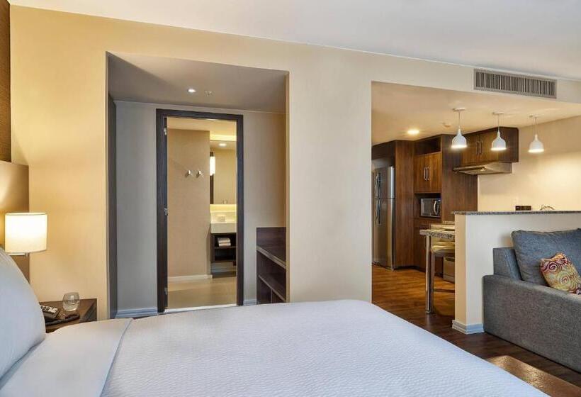 스탠다드 스튜디오 킹침대, Residence Inn By Marriott Rio De Janeiro Barra Da Tijuca