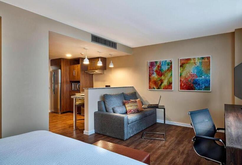 스탠다드 스튜디오 킹침대, Residence Inn By Marriott Rio De Janeiro Barra Da Tijuca