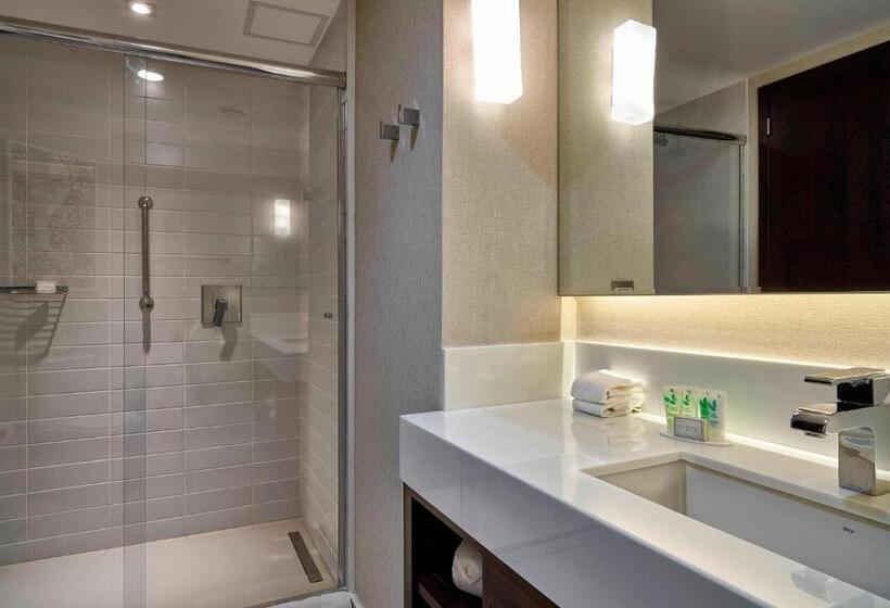 스탠다드 스튜디오 더블 침대, Residence Inn By Marriott Rio De Janeiro Barra Da Tijuca