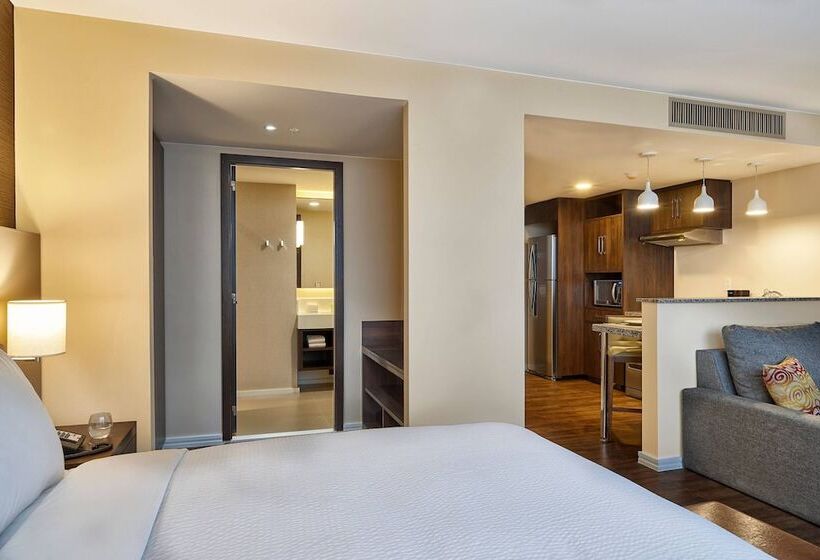 스탠다드 스튜디오 더블 침대, Residence Inn By Marriott Rio De Janeiro Barra Da Tijuca