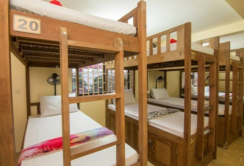 ルームシェアのワンベッド, Pension Lodge Hostel