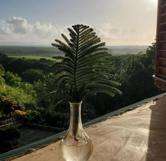 オーシャンビューのスーペリアトリプルルーム, Altos De Cano Hondo