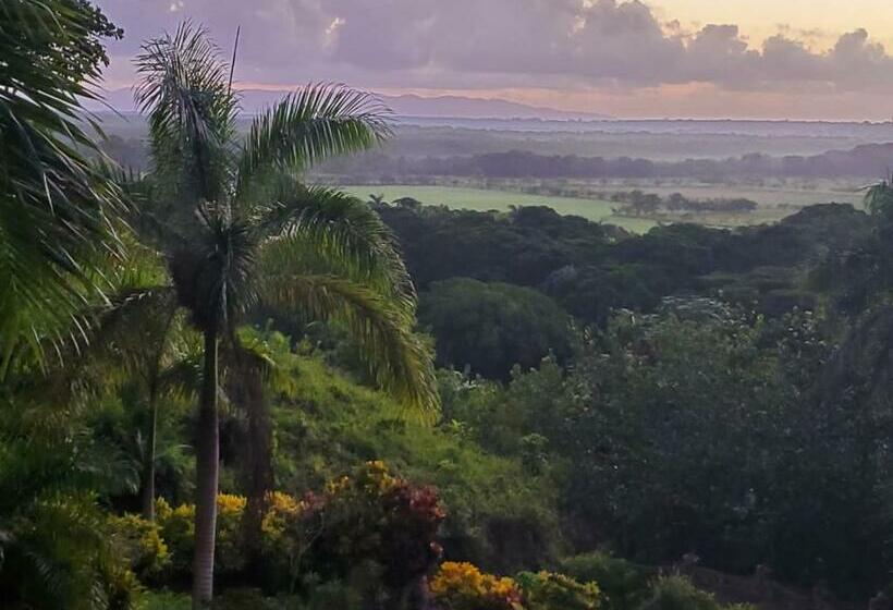 スタンダードルーム, Altos De Cano Hondo