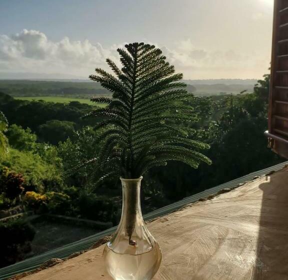 ガーデンビュースーペリアールーム, Altos De Cano Hondo