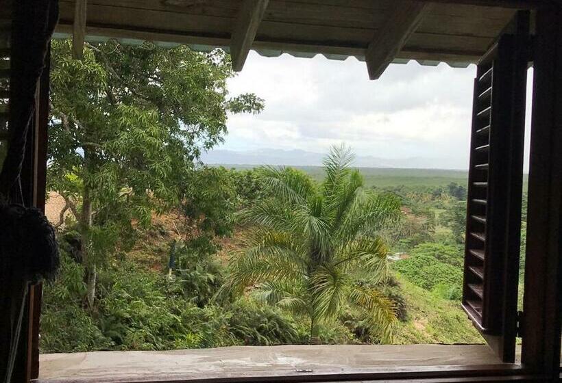 スタンダードルーム, Altos De Cano Hondo