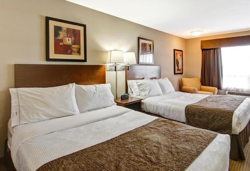 Standard Szoba, Canalta Oyen