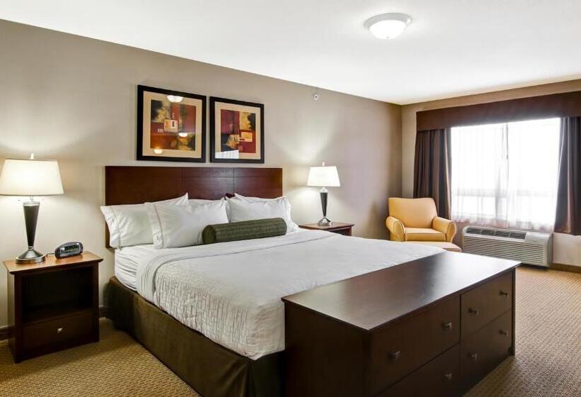 Executive Suite, Canalta Oyen