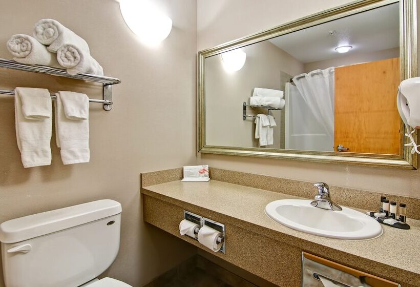 Executive Suite, Canalta Oyen