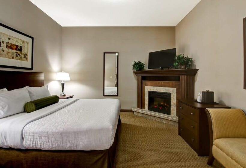 Executive Suite, Canalta Oyen