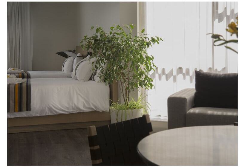 اتاق لوکس, Casa Grande Suites