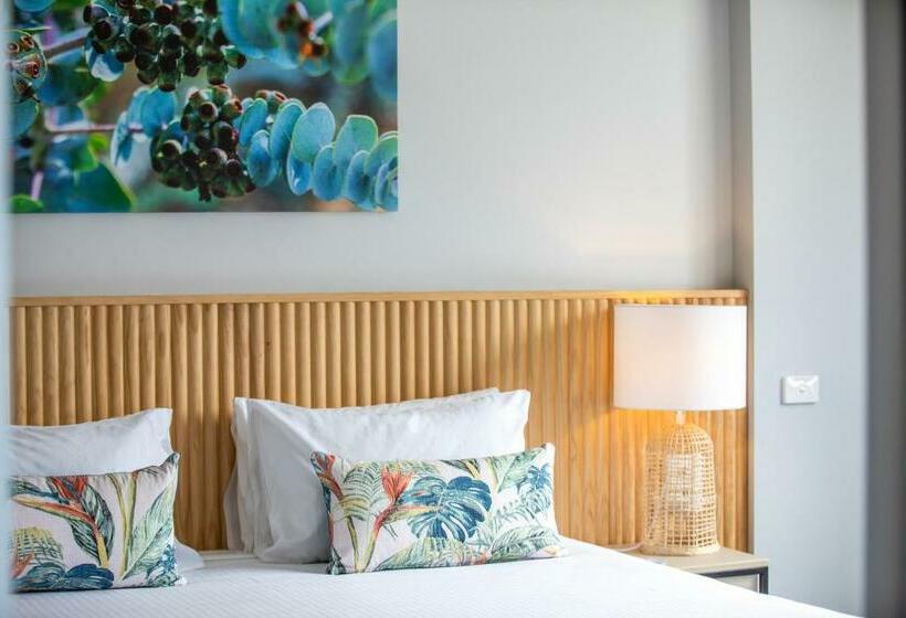 스탠다드 스튜디오 킹침대, Nightcap At Hotel Victor