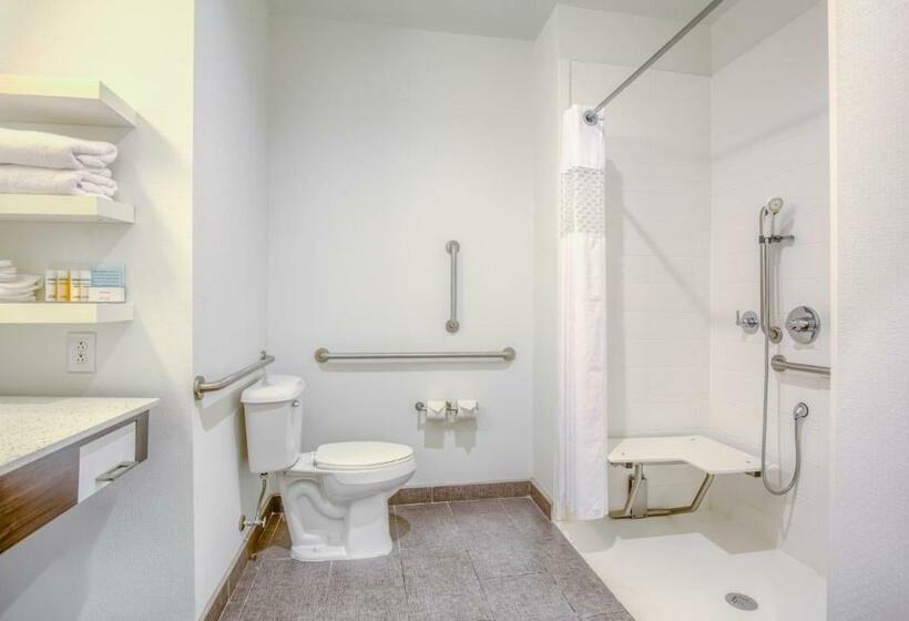 适合残疾人士使用的带超级大床的标准间, Hampton Inn Gulf Shores