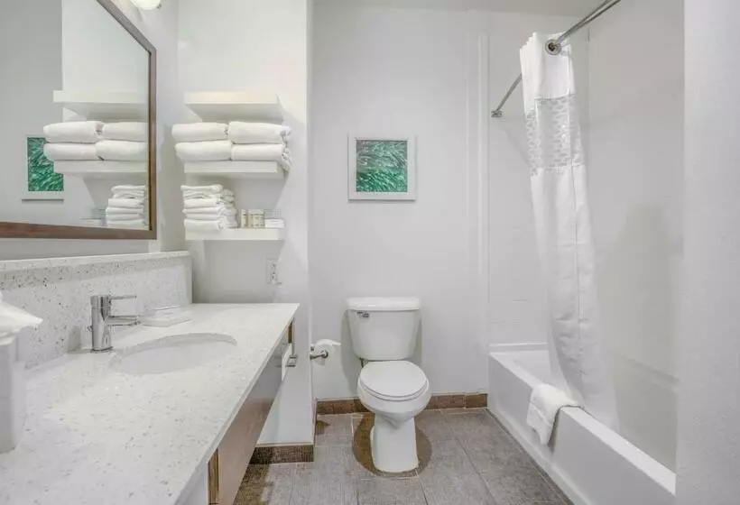 スタンダードルーム, Hampton Inn Gulf Shores