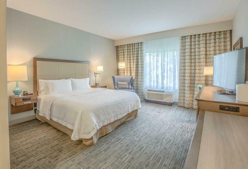 适合残疾人士使用的带超级大床的标准间, Hampton Inn Gulf Shores