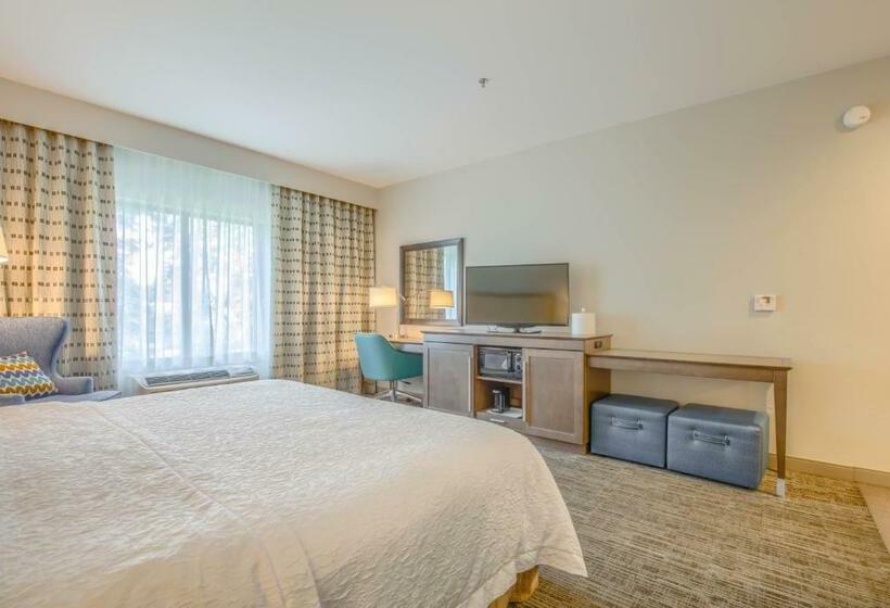 带大床的标准间, Hampton Inn Gulf Shores