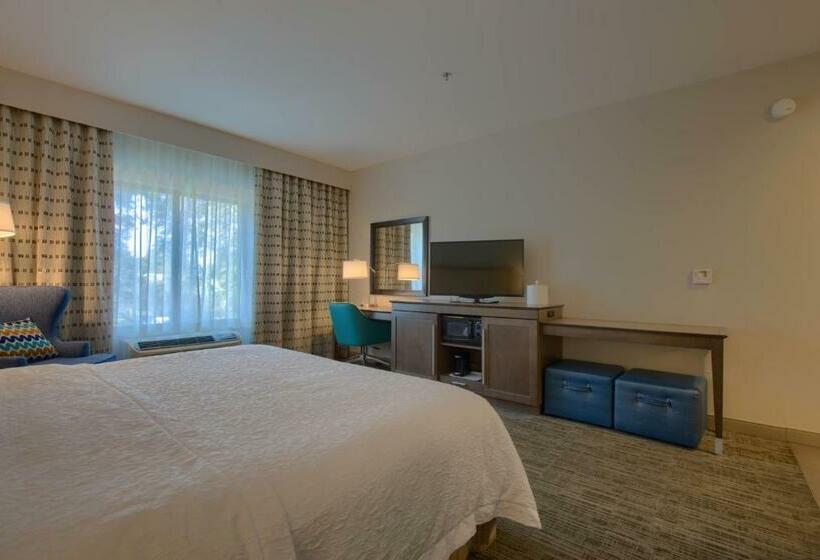 适合残疾人士使用的带超级大床的标准间, Hampton Inn Gulf Shores